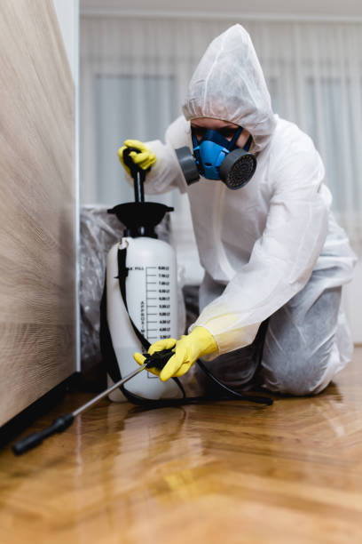 Best Real Estate Pest Inspections  in Boiling Springs, PA